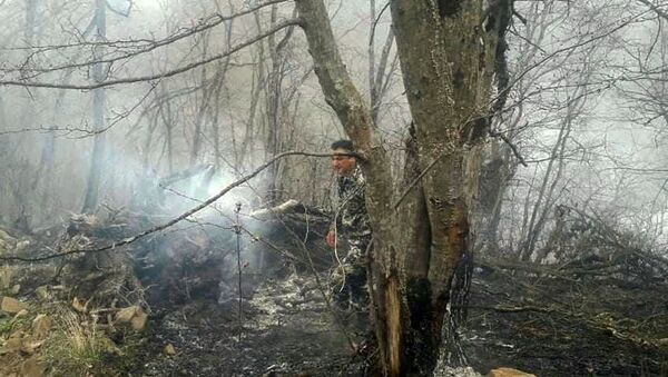 Сотрудники ГСЧС МВД Карабаха тушат лесные пожары (8 апреля 2021). Карабах - Sputnik Արմենիա