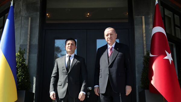 Встреча президентов Украины и Турции Владимира Зеленского и Тайипа Эрдогана (10 апреля 2021). Стамбул - Sputnik Արմենիա