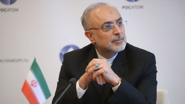 Подписание соглашения о строительстве двух новых атомных электростанций на территории Ирана - Sputnik Армения
