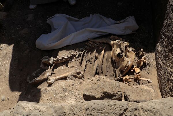 Раскопки на месте обнаруженного недалеко от Луксора золотого города в Верхнем Египте - Sputnik Армения
