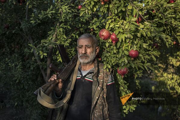 Житель поселка Ухтасар у гранатового дерева (14 октября 2020). Карабах - Sputnik Армения