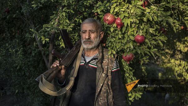 Житель поселка Ухтасар у гранатового дерева (14 октября 2020). Карабах - Sputnik Արմենիա