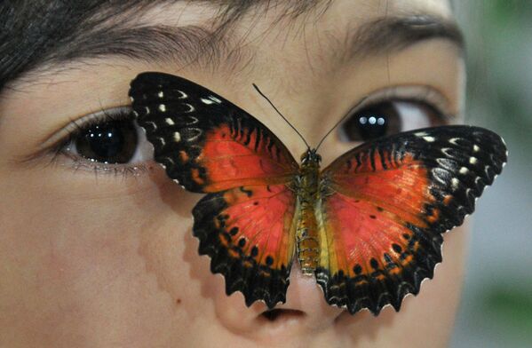 Бабочка на лице девушки, Бишкек  - Sputnik Армения