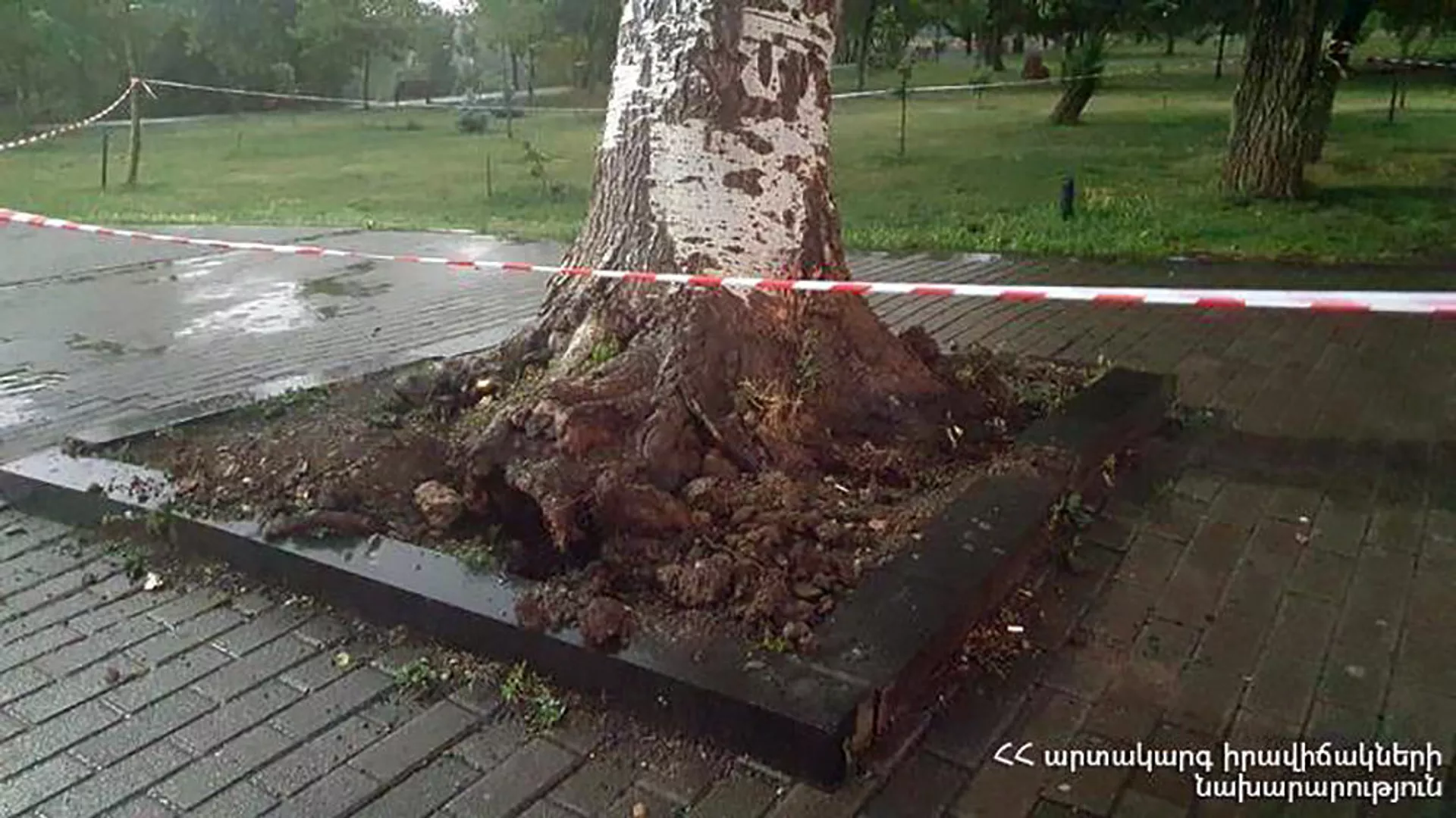 Мощный ветер в Армении повредил дома и линии электропередачи