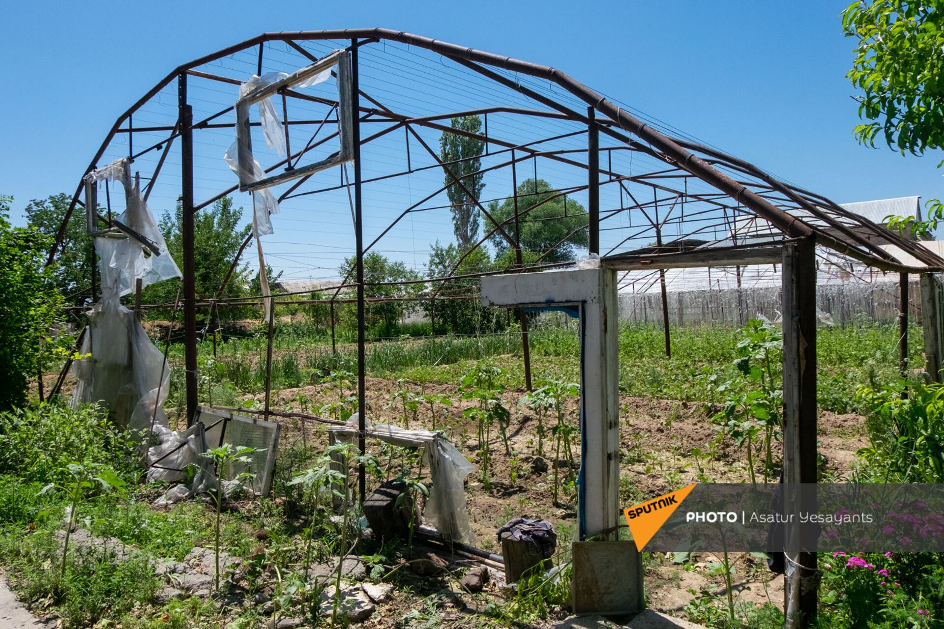 Делать нечего, придется заложить дом: какие убытки понесли армянские фермеры из-за града - Sputnik Армения, 1920, 29.05.2021