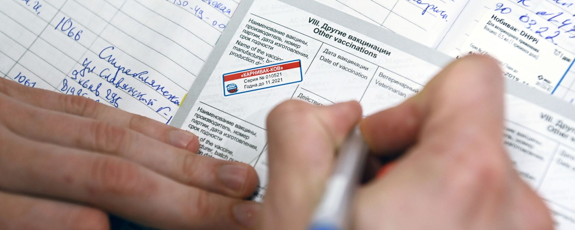 Ветеринарный врач делает отметку в паспорте животного после вакцинации от COVID-19 в ветеринарной клинике в Москве - Sputnik Արմենիա, 1920, 09.07.2021
