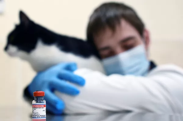 Ветеринар держит в руках кота перед вакцинацией от COVID-19 в ветеринарной клинике в Москве Ветеринар держит в руках кота перед вакцинацией от COVID-19 в ветеринарной клинике в Москве - Sputnik Армения