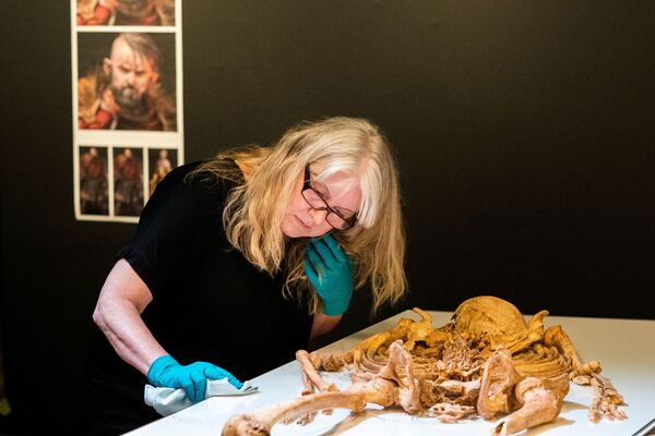 Сотрудник Национального музея Дании распаковывает скелет человека, найденный в братской могиле в Оксфорде, Великобритания - Sputnik Армения