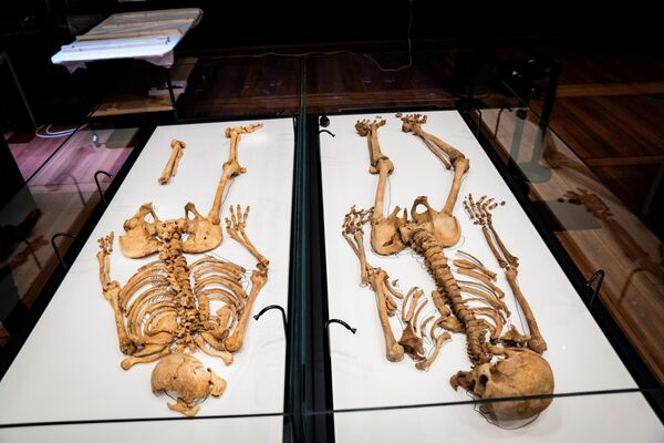 Два скелета родственников лежат в витрине Национального музея Дании - Sputnik Армения