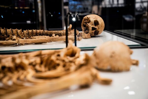 Два скелета, найденные в братской могиле в Оксфорде, Великобритания лежат в витрине Национального музея Дании - Sputnik Армения