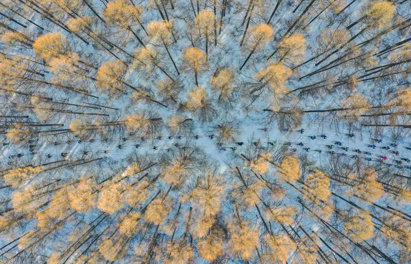 Работа китайского фотографа Chang XU На лыжах в весну, вошедшая в шорт-лист конкурса имени Андрея Стенина в категории Моя Планета, одиночные фотографии Работа китайского фотографа Chang XU На лыжах в весну, вошедшая в шорт-лист конкурса имени Андрея Стенина в категории Моя Планета, одиночные фотографии - Sputnik Армения