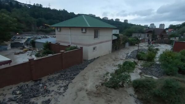 Реки на улицах и эвакуация крокодилов: кадры последствий потопа в Керчи - Sputnik Արմենիա