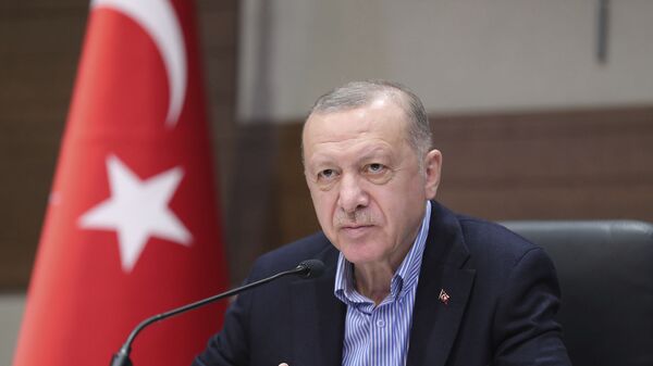 Президент Турции Реджеп Тайип Эрдоган на фоне турецкого флага во время пресс-конференции  - Sputnik Армения