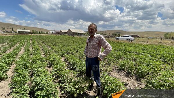 Житель села Бениамин в поле с засохшим урожаем - Sputnik Արմենիա