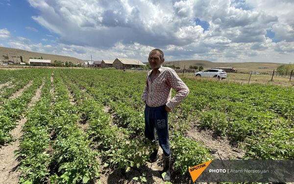 Житель села Бениамин в поле с засохшим урожаем - Sputnik Армения