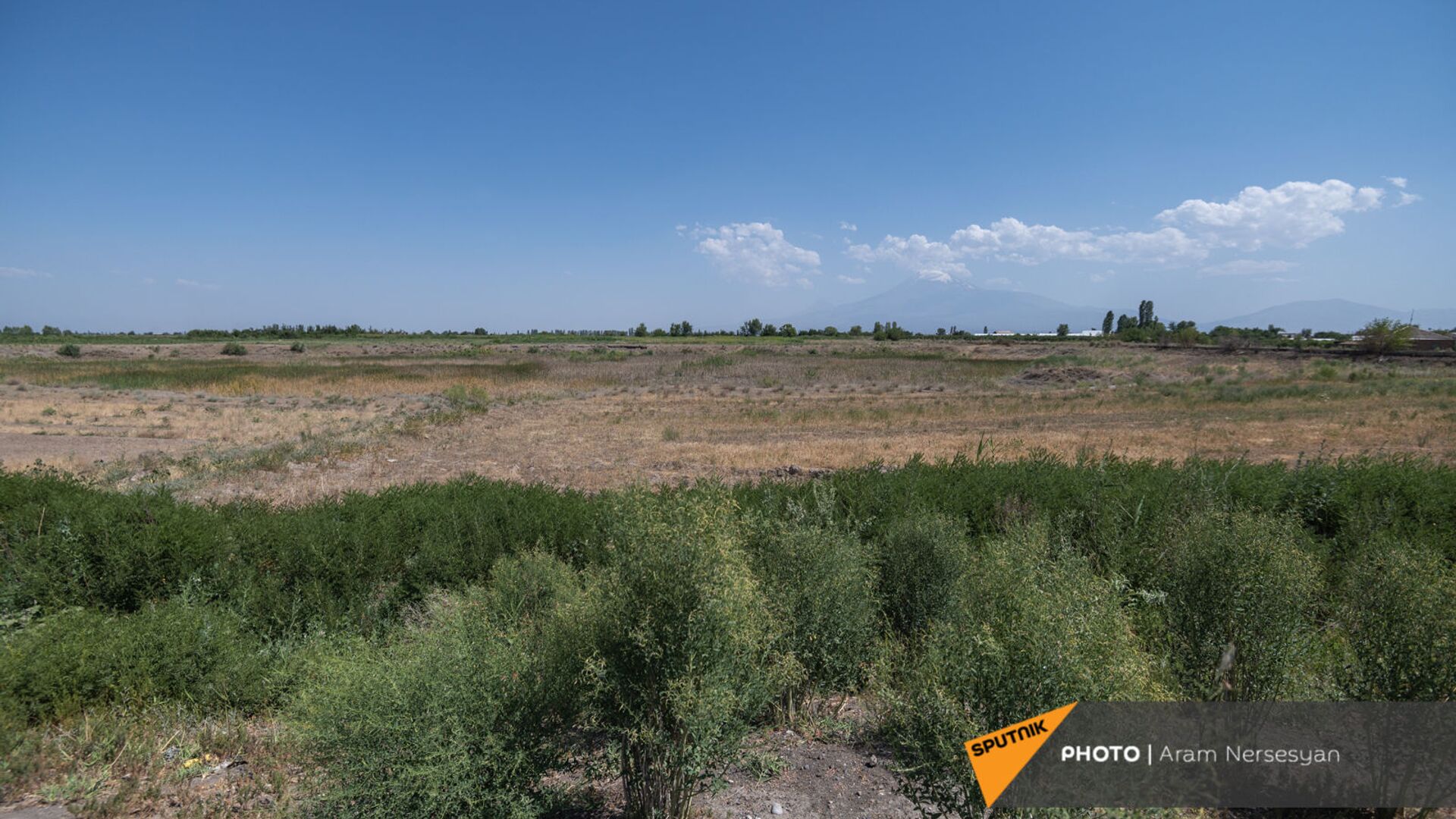 Засохшие поля села Егегнут Армавирской области - Sputnik Армения, 1920, 15.07.2022