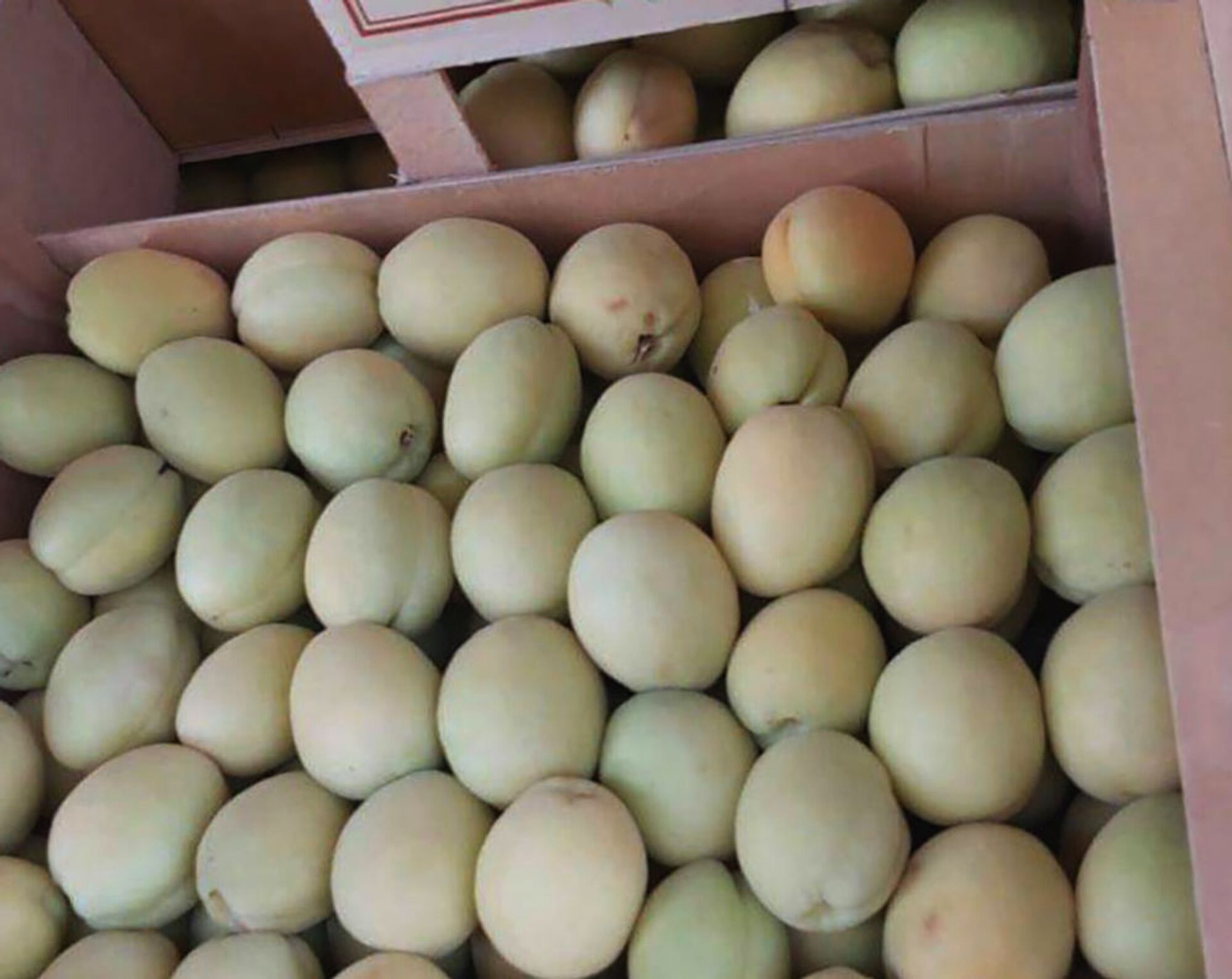  Армянские абрикосы расходятся на французском рынке на ура — экспорт растет - Sputnik Армения, 1920, 09.07.2021