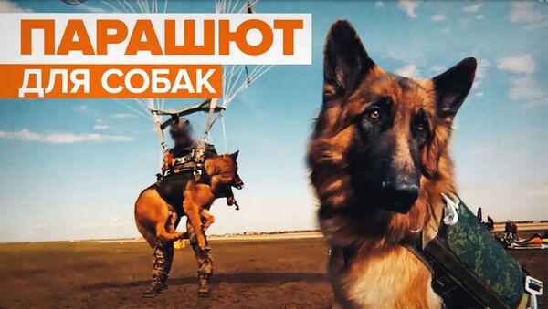 В России разработали систему десантирования для служебных собак - Sputnik Армения