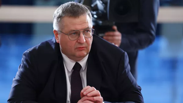 Заместитель председателя правительства РФ Алексей Оверчук во время встречи с президентом Азербайджана Ильхамом Алиевым в Баку - Sputnik Армения