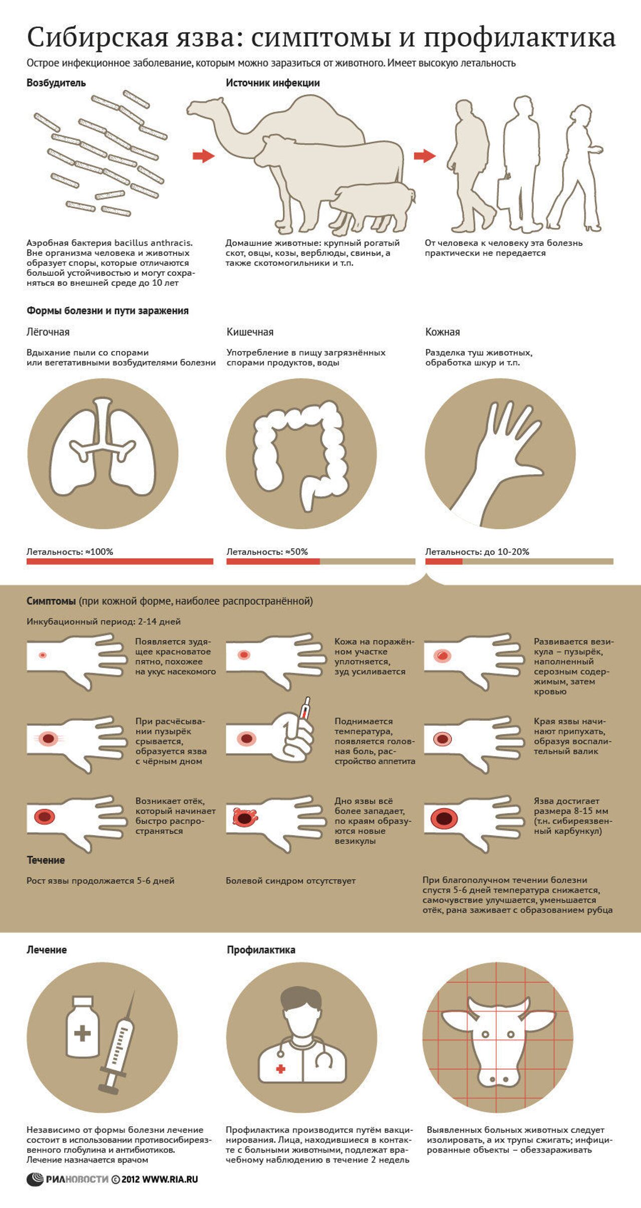Сибирская язва - виды, симптомы, лечение и профилактика сибирской язвы в СПб