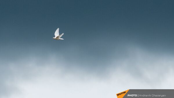 Աղավնի - Sputnik Արմենիա