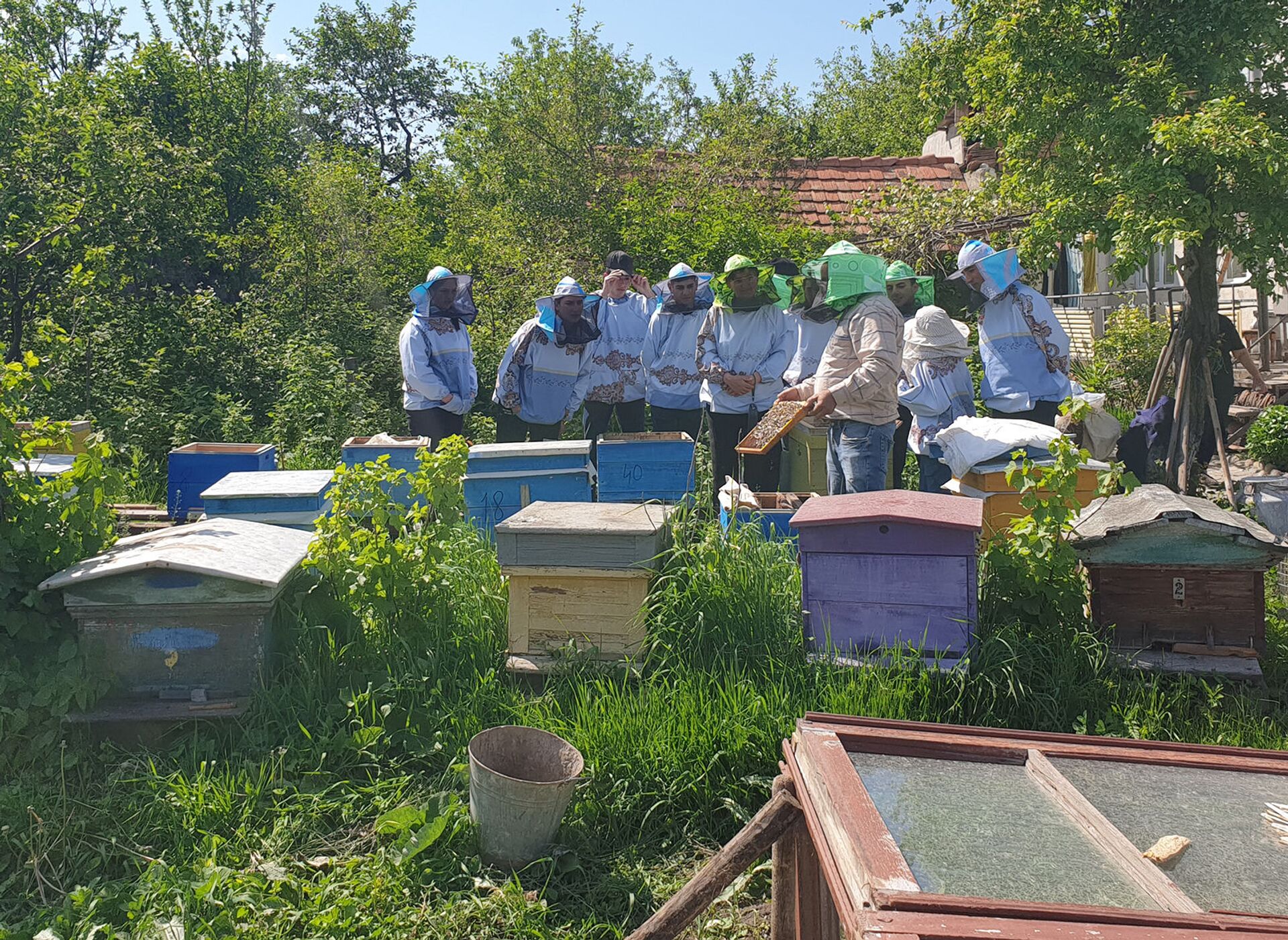 В Лори откроется первая в Армении школа по подготовке профессиональных пчеловодов - Sputnik Армения, 1920, 30.07.2021