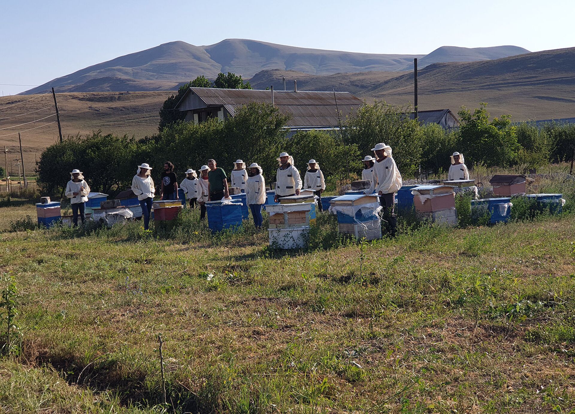 В Лори откроется первая в Армении школа по подготовке профессиональных пчеловодов - Sputnik Армения, 1920, 30.07.2021