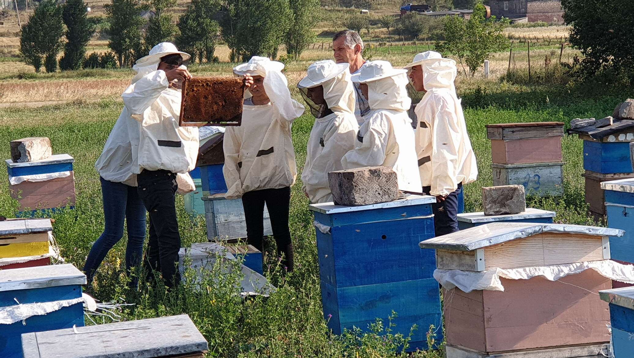 Курсы пчеловода. Школа в Лори Армения.