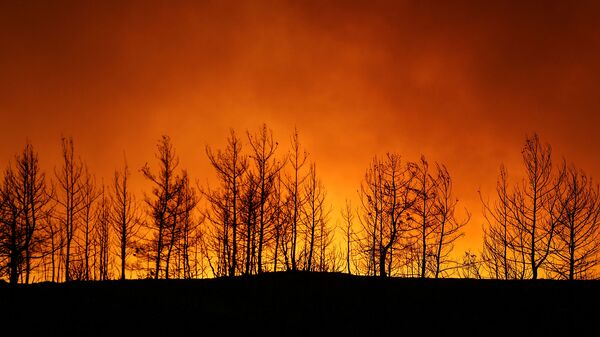 Лесной пожар близ города Манавгат, к востоку от курортного города Анталья (29 июля 2021). Турция - Sputnik Армения