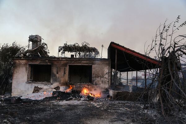 Сгоревший от лесных пожаров дом недалеко от города Манавгат (28 июля 2021). Турция - Sputnik Армения
