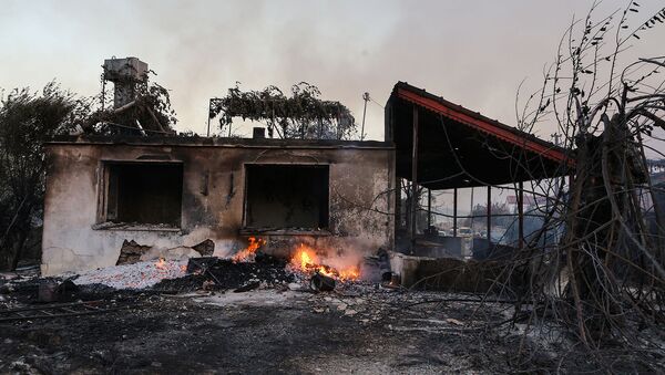 Сгоревший от лесных пожаров дом недалеко от горожа Манавгат (28 июля 2021). Турция - Sputnik Արմենիա