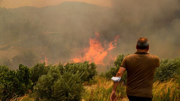 Мужчина на фоне лесного пожара (29 июля 2021). Турция - Sputnik Армения