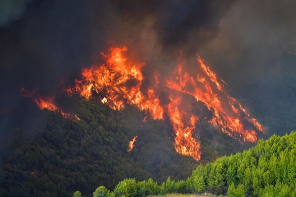 Пламя охватило лес у горы возле деревни Платанос, недалеко от древней Олимпии в западной Греции 4 августа 2021 года - Sputnik Армения