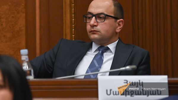 Айк Мамиджанян на заседании Парламента - Sputnik Армения