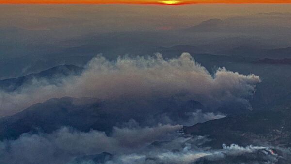 Kлубы дыма от лесных пожаров в районе Даламан на юге Турции - Sputnik Армения