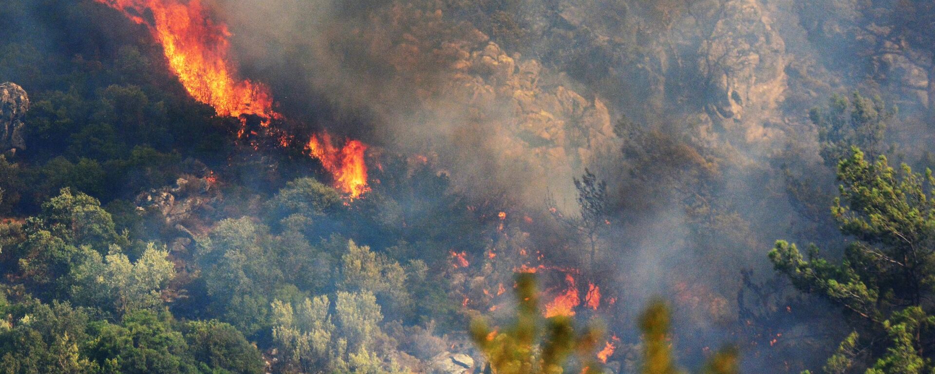 Лесной пожар в окрестностях турецкого города Мармарис - Sputnik Արմենիա, 1920, 14.08.2021
