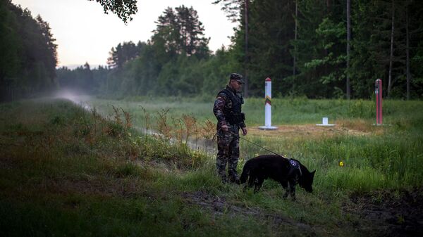 Сотрудник Государственной пограничной службы Литвы патрулирует границу с Беларусью (10 июня 2021). Литва - Sputnik Армения