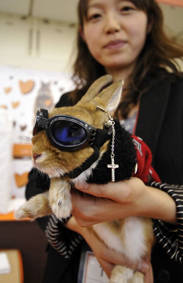 Хозяйка демонстрирует кролика в маскарадном костюме во время конкурса кроличьей моды в Rabbit Festa в городе Иокогама. - Sputnik Армения