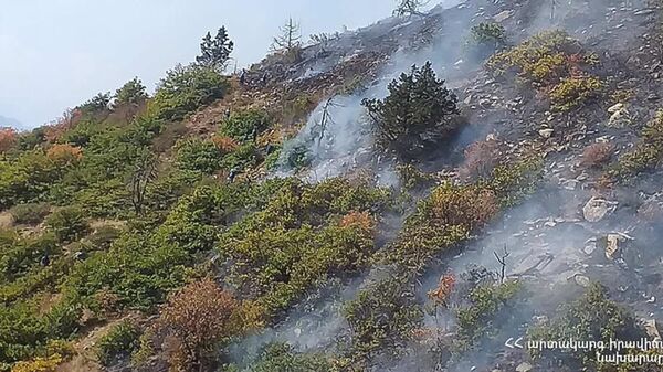 Пожар на территории национального парка Аревик - Sputnik Արմենիա
