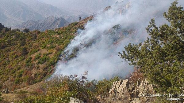Пожар на территории национального парка Аревик - Sputnik Армения