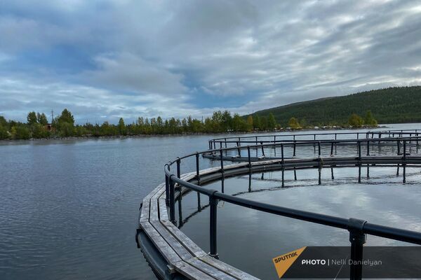 Рыбное хозяйство на озере Имандра - Sputnik Армения