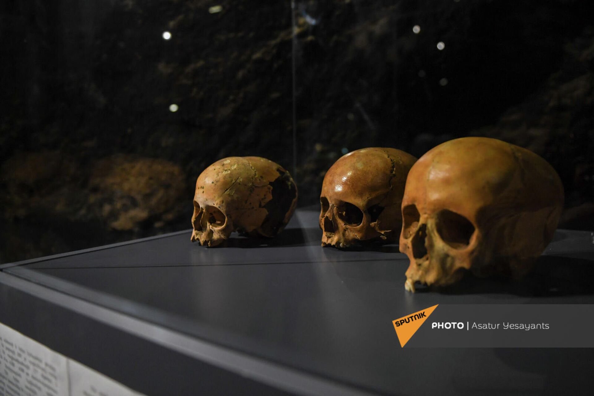 Найденные черепа в пещере Арени - Sputnik Армения, 1920, 23.09.2021