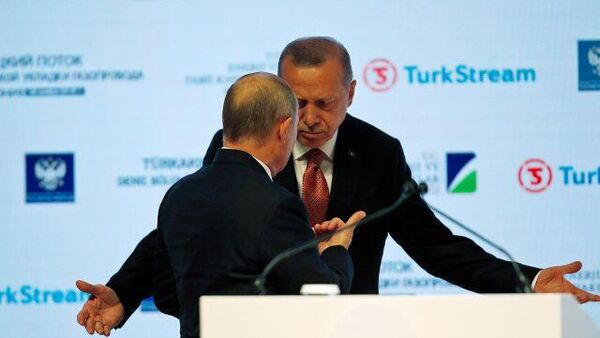 Ռուսաստանն ու Թուրքիան քաղաքական առումով հակադիր ճամբարներում են. Խուդավերդյան  - Sputnik Արմենիա