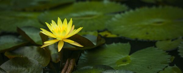 Подруги - Sputnik Армения