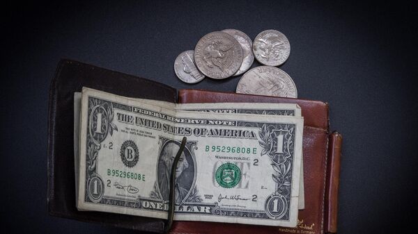 Доллары в бумажнике - Sputnik Արմենիա