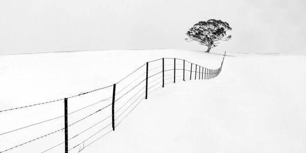 Снимок Dont Fence Me In австралийского фотографа Ray Jennings, победивший в номинации The Nikon Australia Award конкурса 12th EPSON International Pano Awards - Sputnik Армения