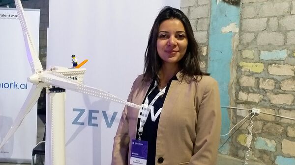 Сона Мнацаканян, менеджер компании Zevit - Sputnik Армения