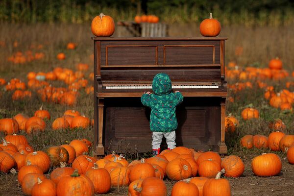 Ребенок играет на пианино, пока люди собирают тыквы на ферме Pop Up в преддверии Хэллоуина (22 октября 2021). Великобритания - Sputnik Армения