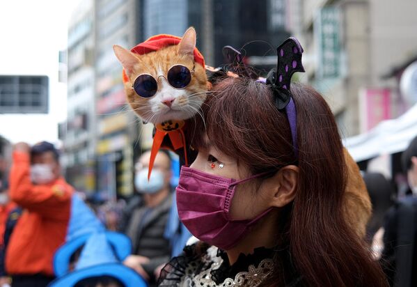 Женщина с кошкой на параде на Хэллоуин в Нью-Тайбэе (30 октября 2021). Тайвань - Sputnik Армения