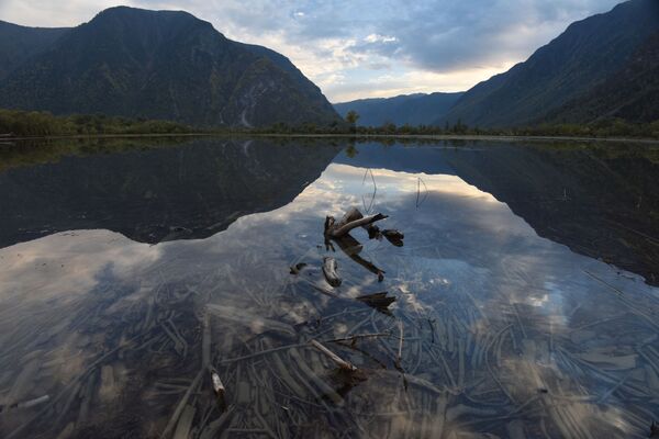 Телецкое озеро на Алтае — один из самых мрачных и мистических водоемов в России. По легенде, на дне есть &quot;лес мертвецов&quot;: там температура воды не превышает четырех градусов и тела утонувших &quot;консервируются&quot;.Местные могут рассказать много леденящих душу историй. По одной из версий, Телецкое озеро — это северные ворота в знаменитую Шамбалу, страну бессмертия, и по ночам из глубин якобы слышится звон подводного храма. - Sputnik Армения